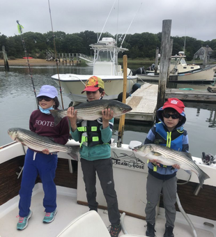 Striped bass fishing in Eastham’s bay!